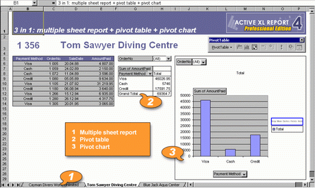 Active XL Report Screenshot